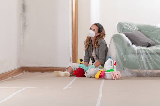 Reliable Mold Remediation contractor in Fulton, NY by WQB Mold Removal